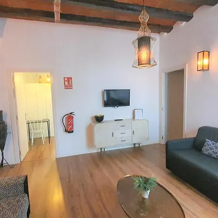 Barrio Gotico Ferran Apartment *