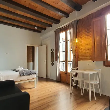 Barrio Gotico Ferran Apartment