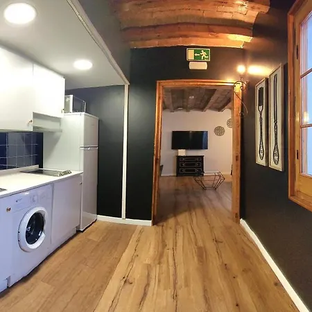 Barrio Gotico Ferran Apartment *
